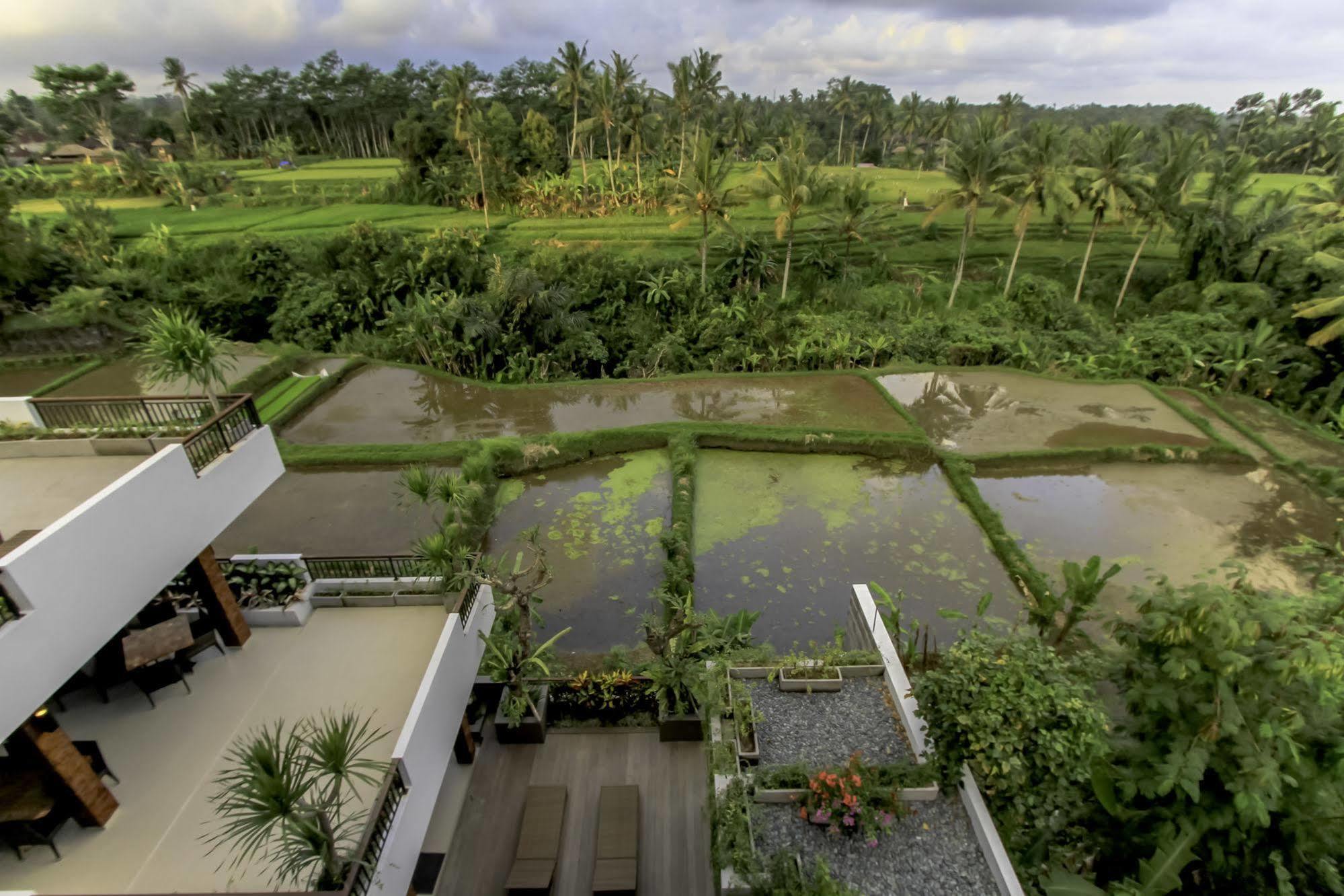 Puri Padma Hotel Ubud  Ngoại thất bức ảnh