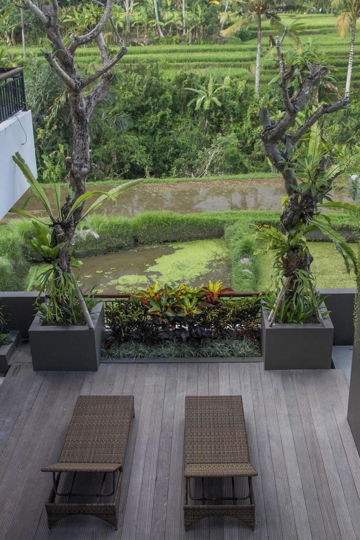Puri Padma Hotel Ubud  Ngoại thất bức ảnh