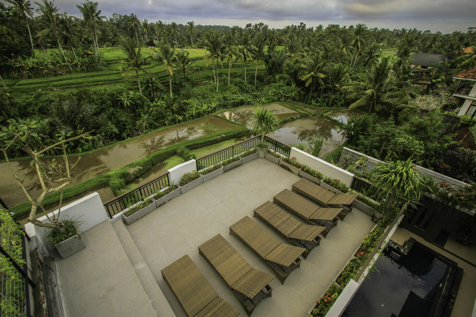 Puri Padma Hotel Ubud  Ngoại thất bức ảnh
